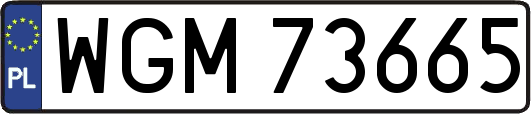 WGM73665