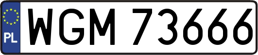 WGM73666