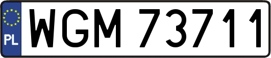 WGM73711