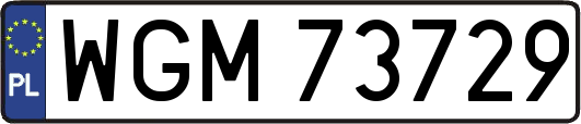 WGM73729