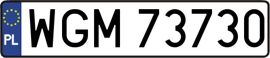 WGM73730