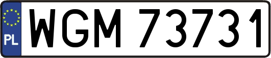 WGM73731