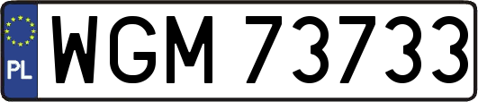 WGM73733