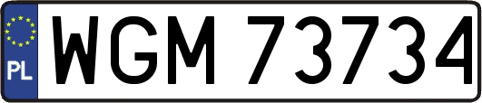 WGM73734