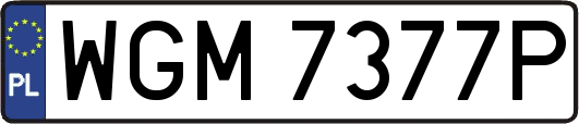 WGM7377P
