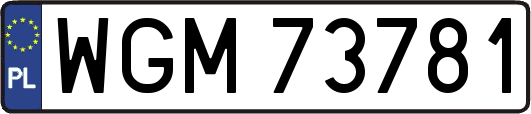 WGM73781
