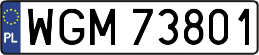 WGM73801