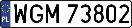 WGM73802