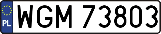 WGM73803