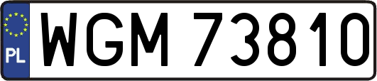 WGM73810