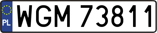 WGM73811