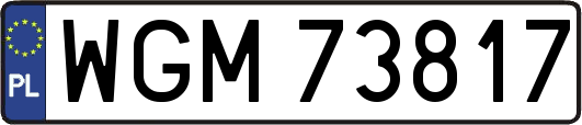 WGM73817