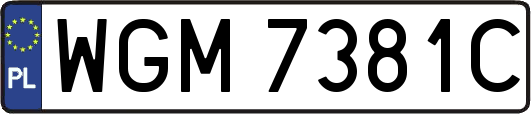 WGM7381C