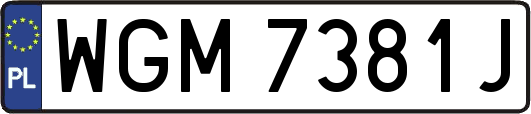WGM7381J