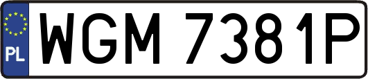 WGM7381P