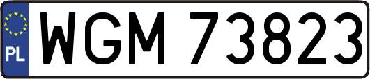 WGM73823