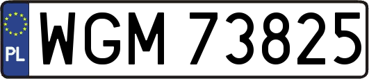 WGM73825