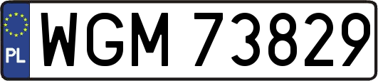 WGM73829