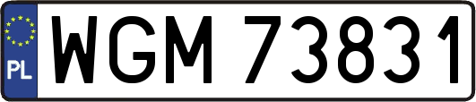 WGM73831