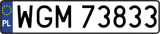 WGM73833