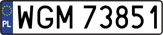 WGM73851