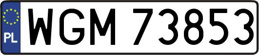 WGM73853