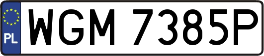 WGM7385P