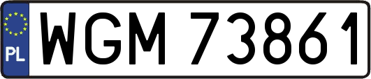 WGM73861