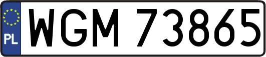 WGM73865