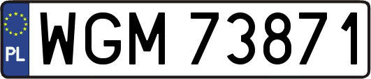 WGM73871