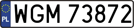 WGM73872