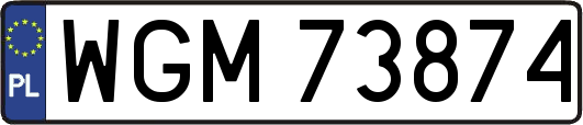 WGM73874
