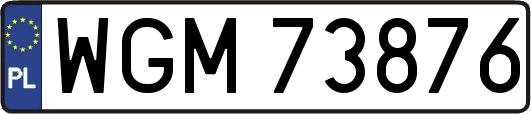 WGM73876
