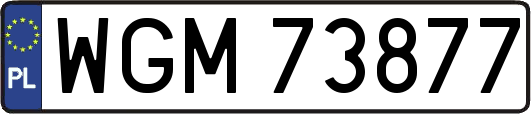 WGM73877