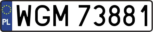 WGM73881
