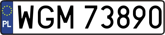 WGM73890