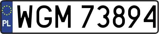 WGM73894