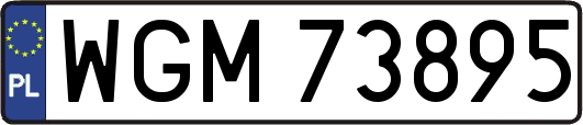 WGM73895