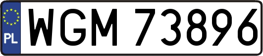 WGM73896