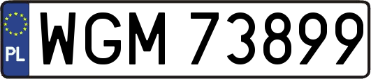 WGM73899