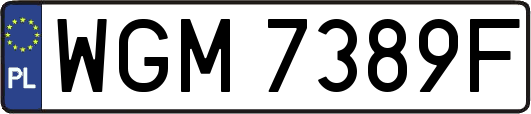 WGM7389F