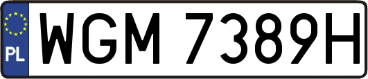 WGM7389H