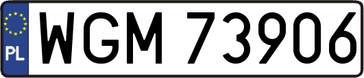 WGM73906
