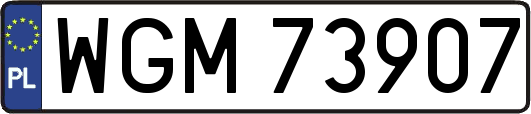 WGM73907