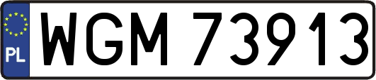 WGM73913