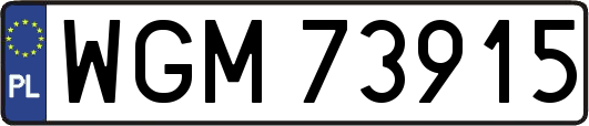 WGM73915