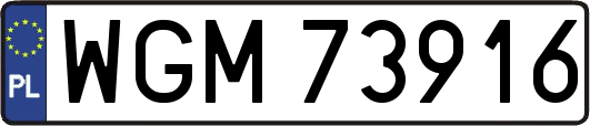 WGM73916
