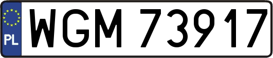 WGM73917