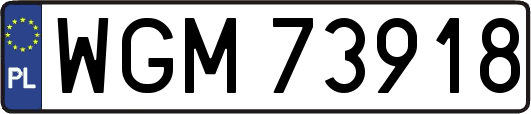 WGM73918