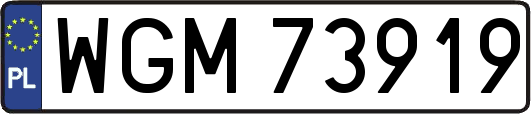 WGM73919